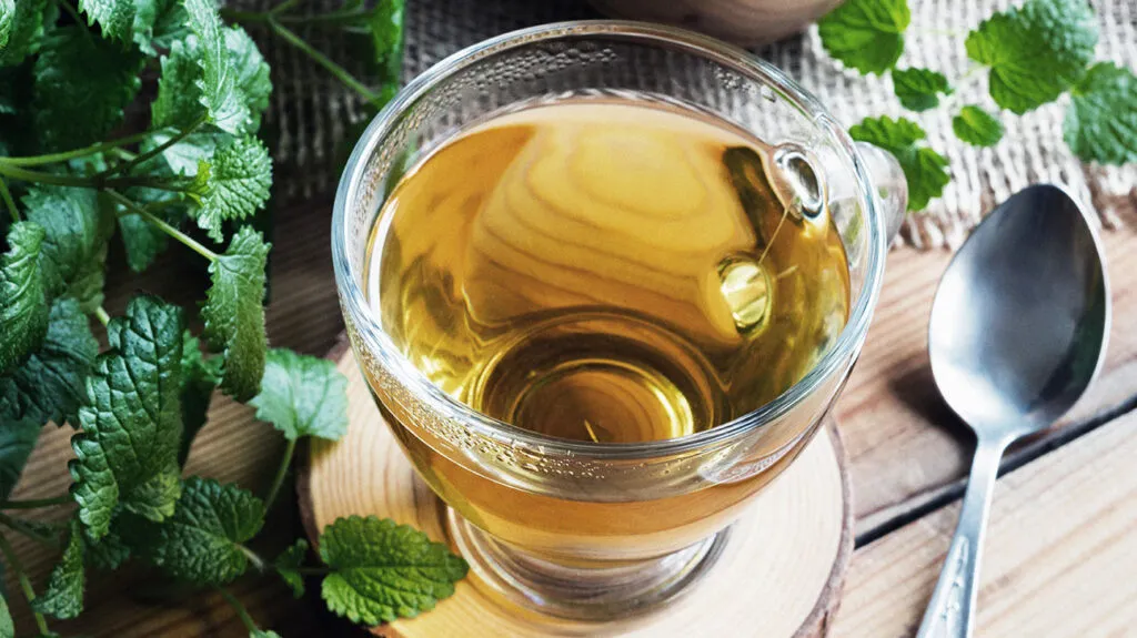 Top 10 Herbal Tea Brands In India