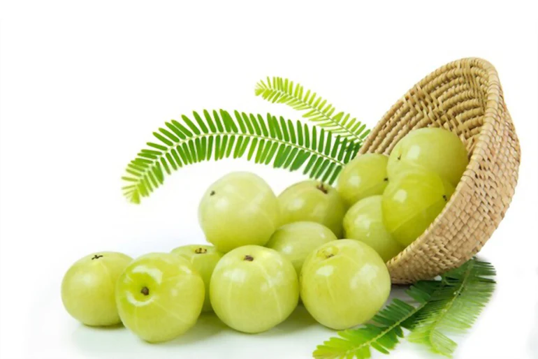 Top 10 Amla Emblica Officinalis Capsules Exporters In India