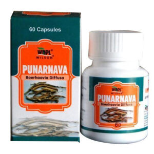 Top Punarnava Capsules and Tablets Brands in India