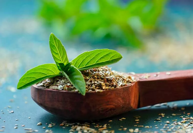 Top Tulsi Capsules Brands in India